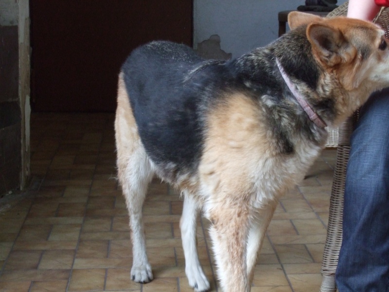 Ostern 2007 Orleshausen 093 